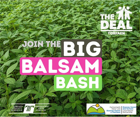 Baslsam Bash