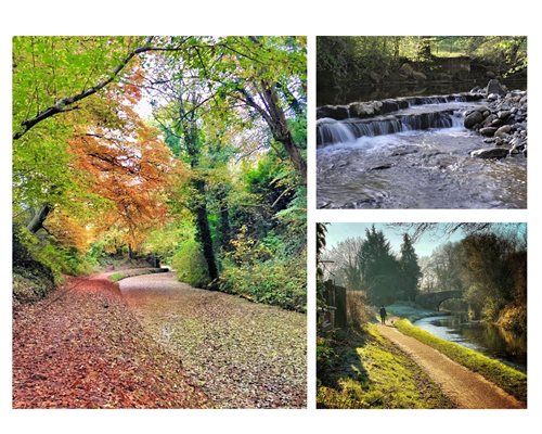 Ty Glas photo montage