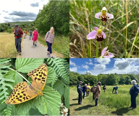 Explore new Local Nature Reserve
