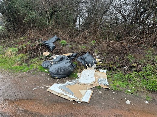 Henllys fly-tipping