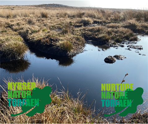 nurture nature torfaen