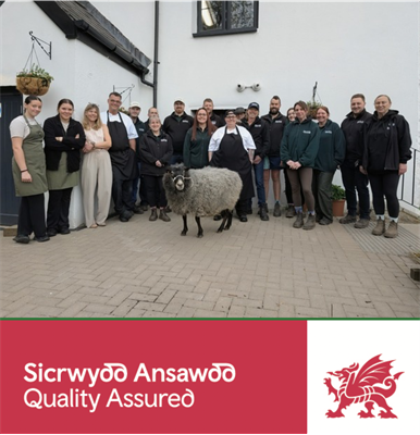Greenmeadow Community Farm achieves Visit Wales’ Quality Assured Status