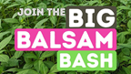 Big Balsam Bash – Launch Event