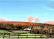 Help us shape the Future of the Farm