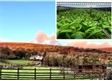 Greenmeadow Community Farm becomes a test bed for exciting new Crop Cycle project