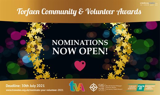 TVA - Volunteer Awards Graphic v3-01