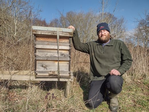 bee-hives-farm_crop