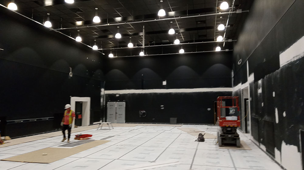 Progress Photo - May 2020