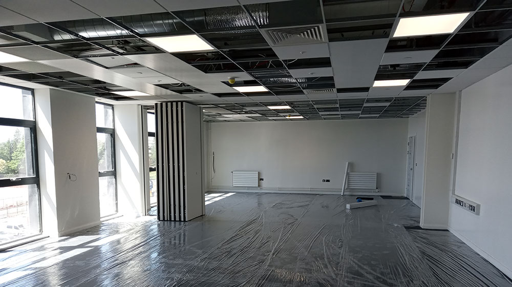 Progress Photo - May 2020