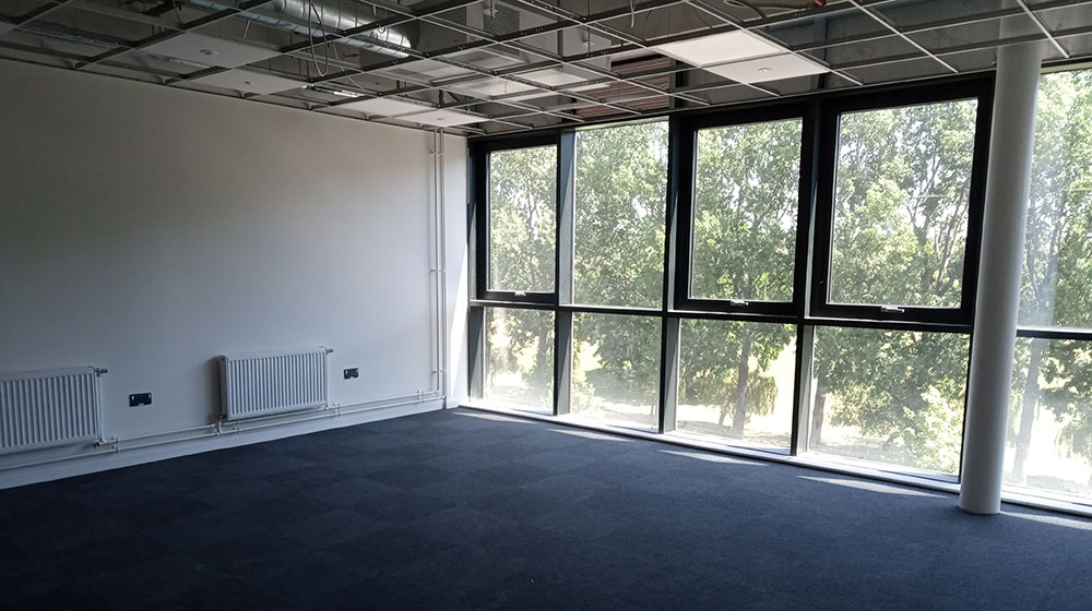 Progress Photo - May 2020