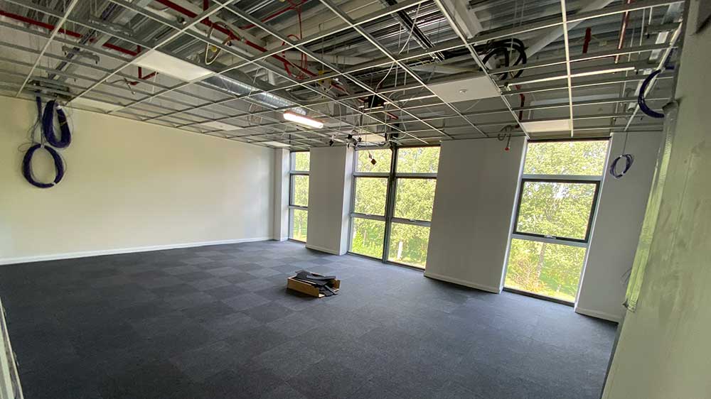 Progress photo - April 2020
