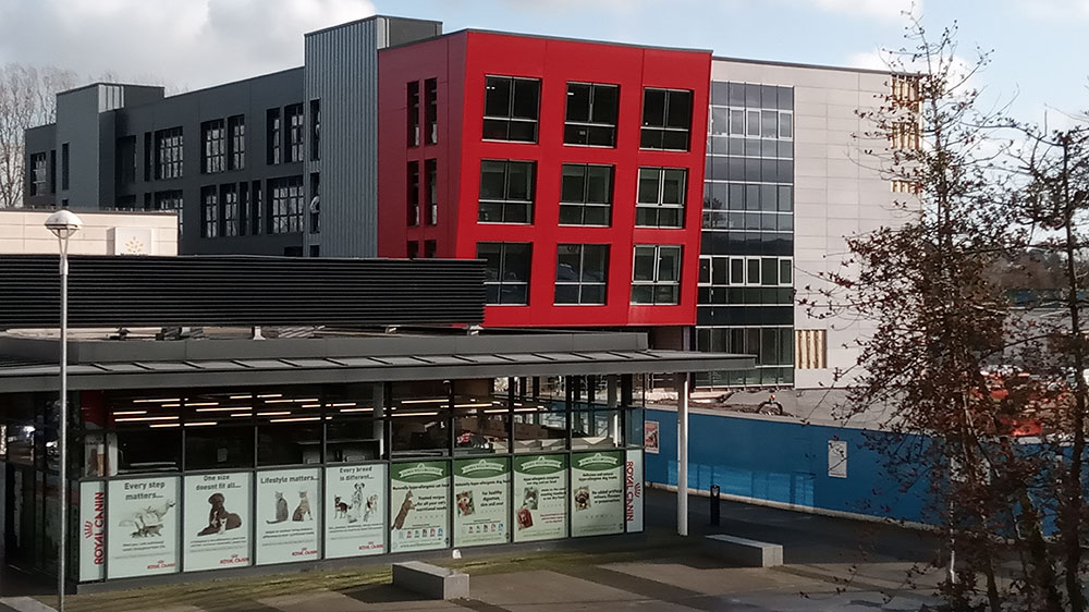 Progress photo - January 2020