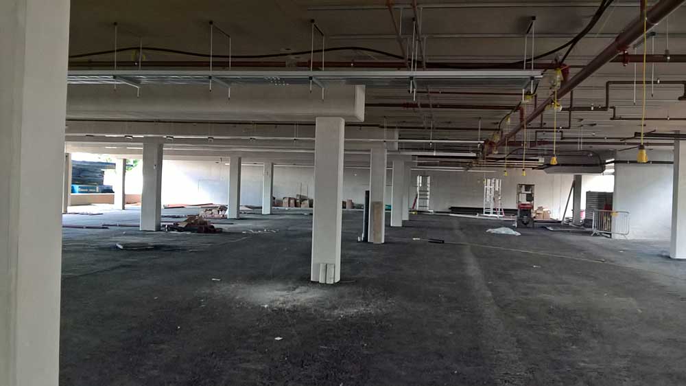 Progress photo July 2019
