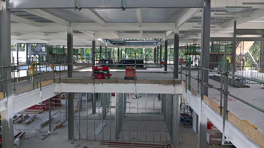 Progress photo July 2019