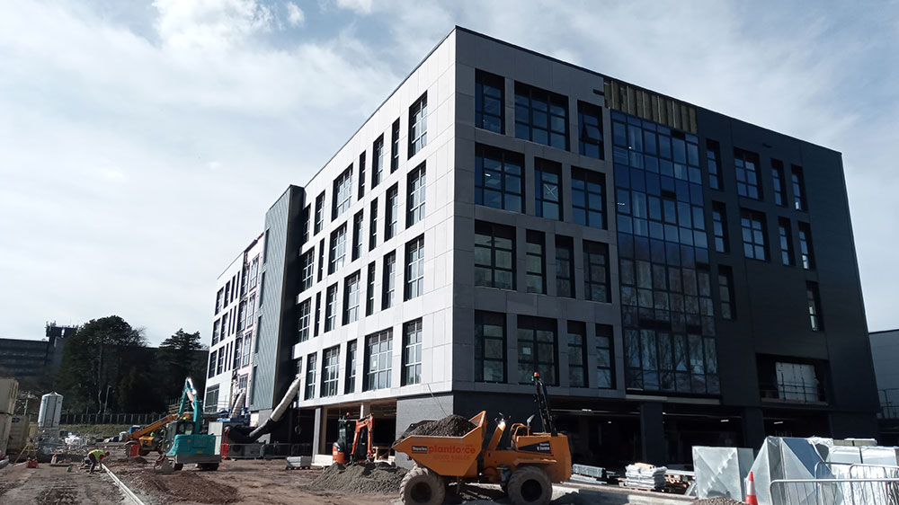 Progress photo - March 2020