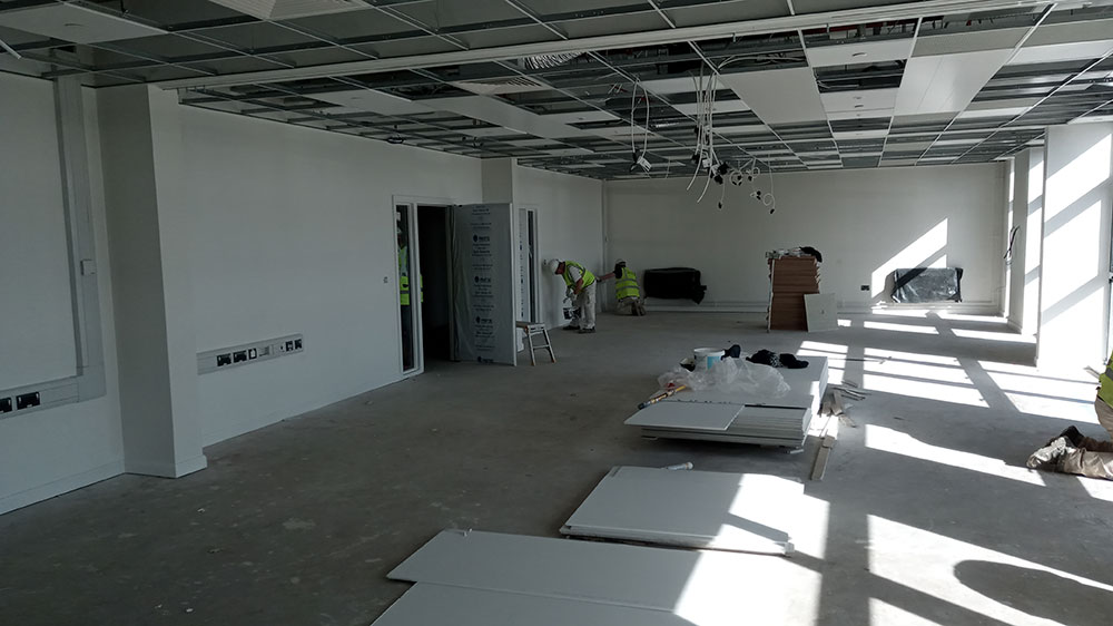 Progress photo - March 2020
