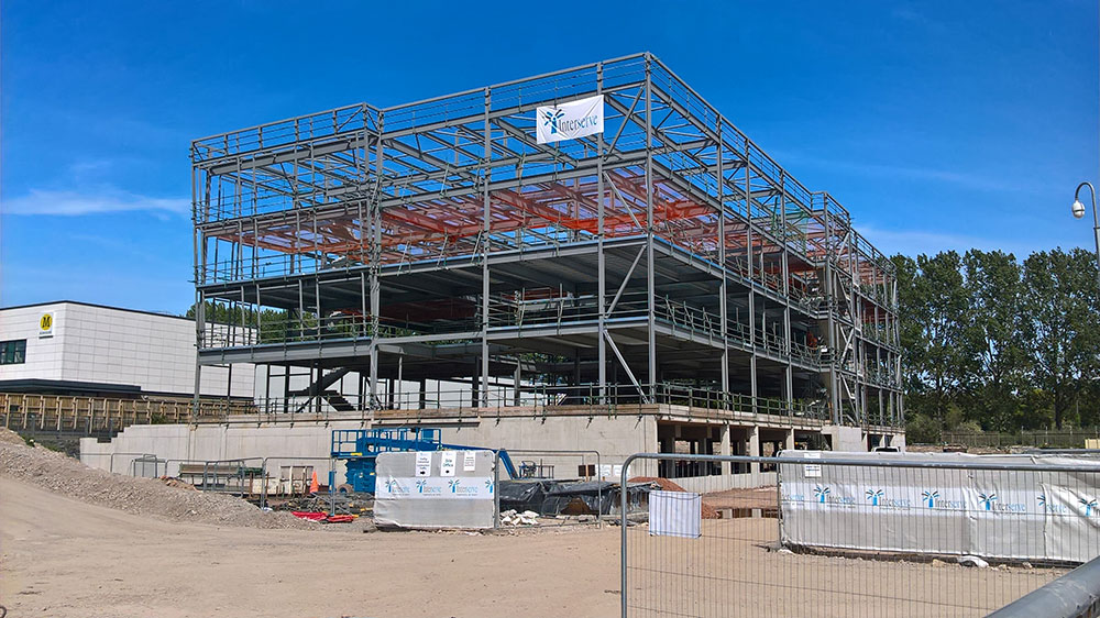 Progress photo May 2019