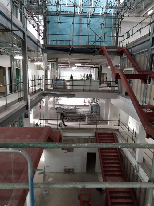 Progress photo - November 2019