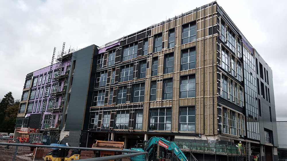 Progress photo - November 2019