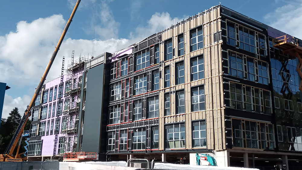 Progress photo - October 2019