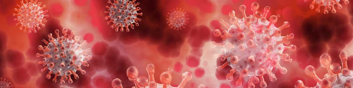 Coronavirus - latest information and advice
