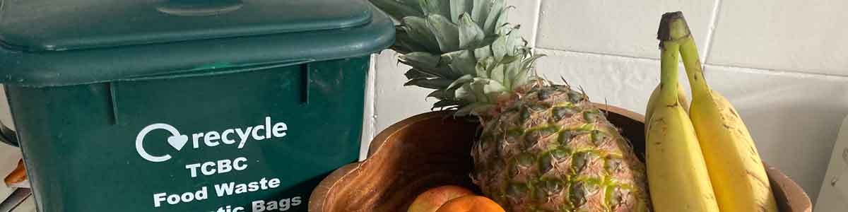 Kitchen food caddy next to a bowl of fruit containing a pineapple and bananas