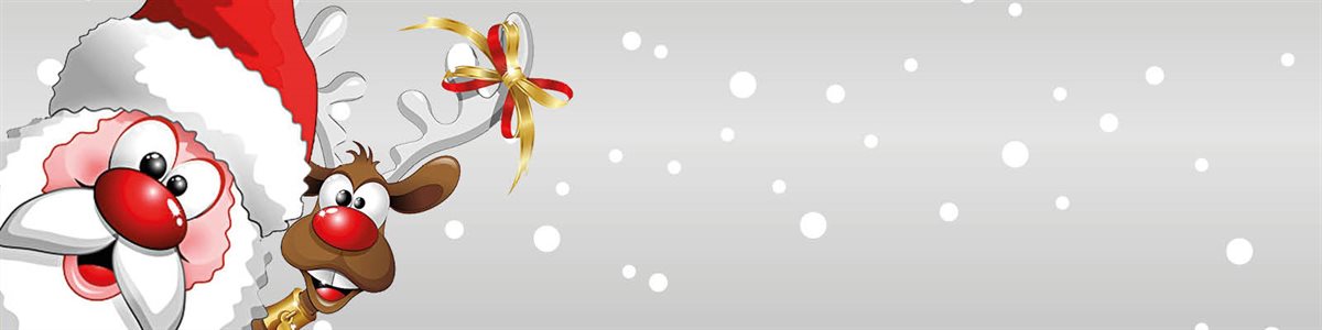 Torfaen Santa Appeal