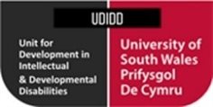 University of South Wales logo