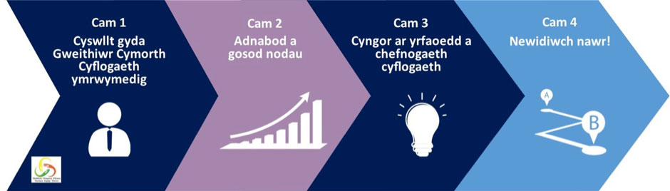 Meithrin, Darparu, Ffynnu (NET)