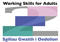 Working Skills for Adults Logo