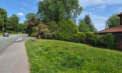 Flower bed at the top of  Pensarn way