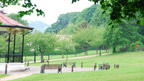 Pontypool Park & Ski Centre