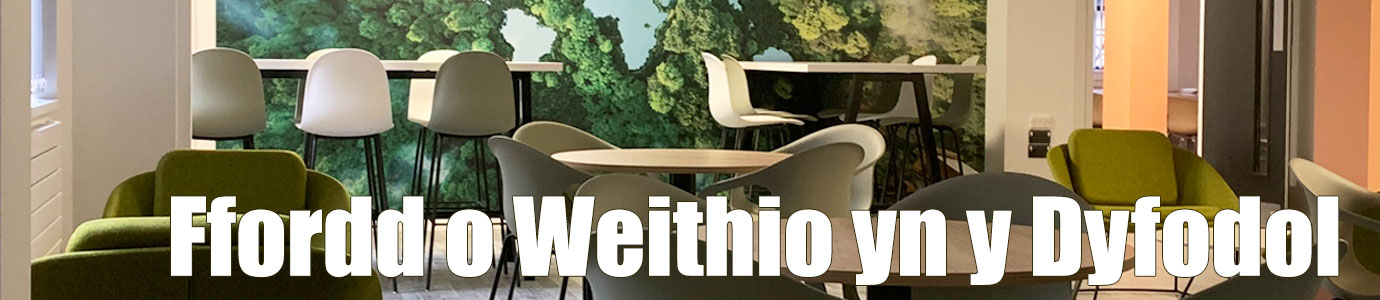 Ffordd o Weithio yn y Dyfodol