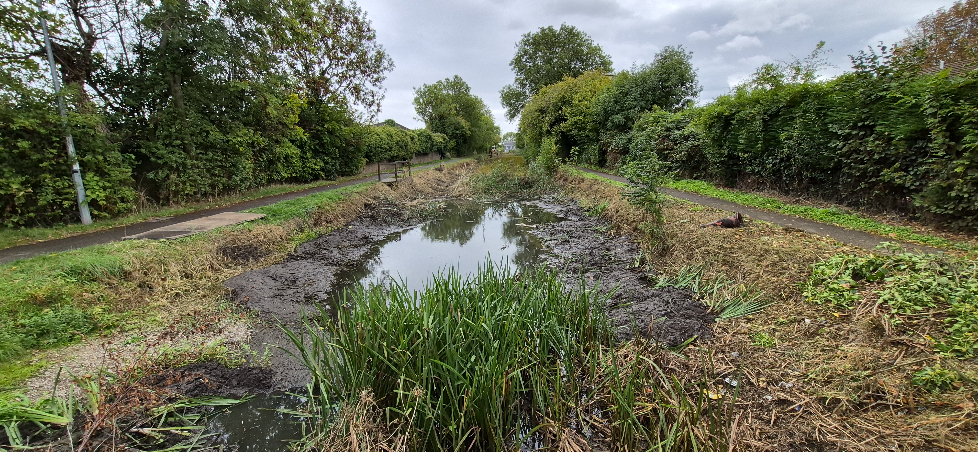 A stretch of canal in Henllys