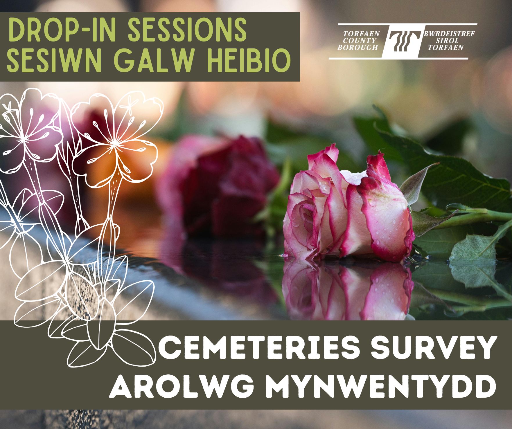 cemetery survey