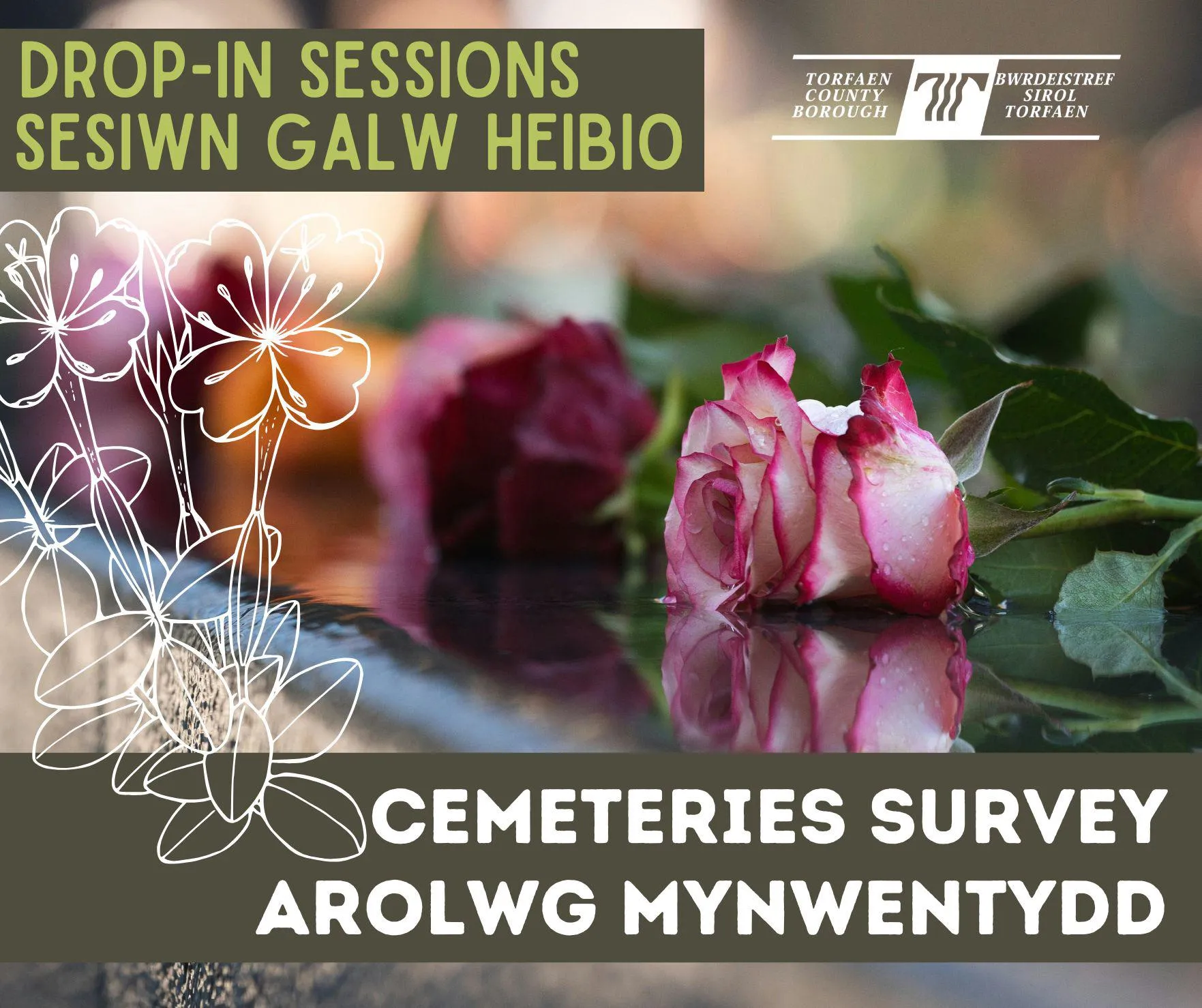 cemetery survey