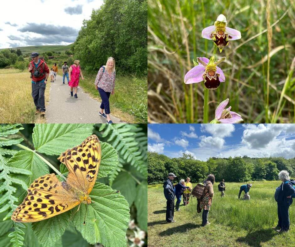 Explore new Local Nature Reserve