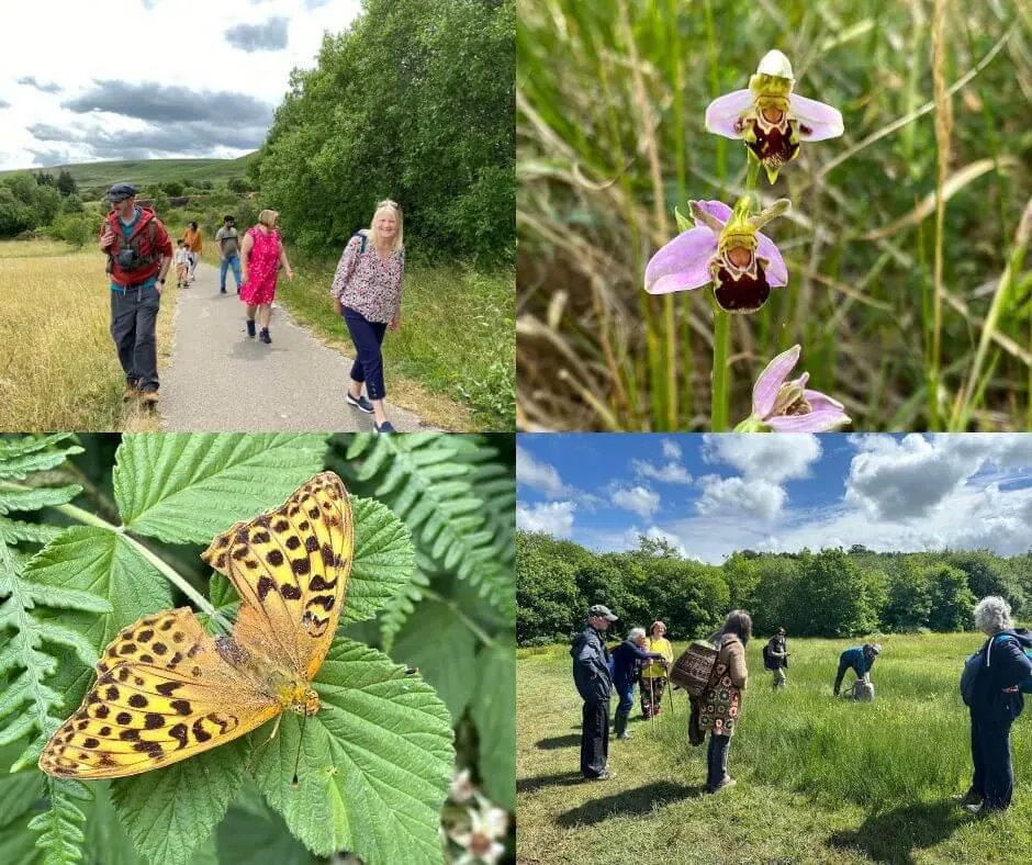 Explore new Local Nature Reserve