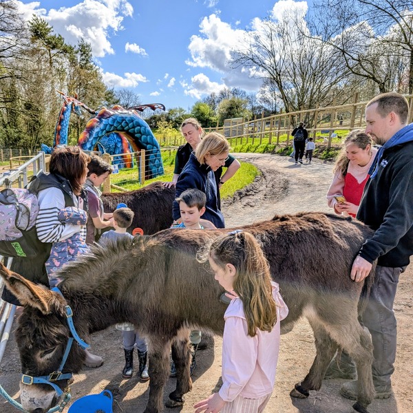 Farmer for a Day
