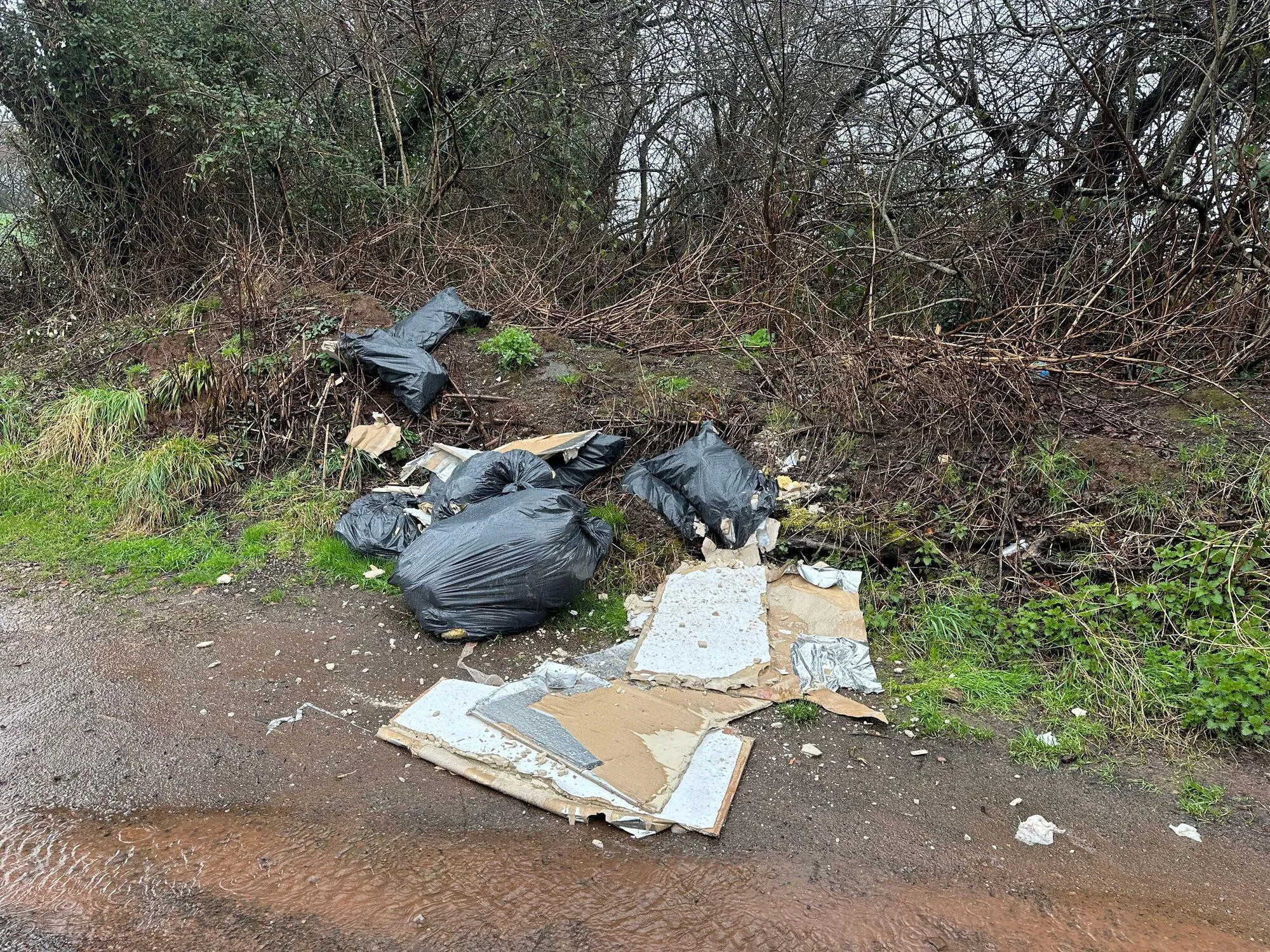 Henllys fly-tipping