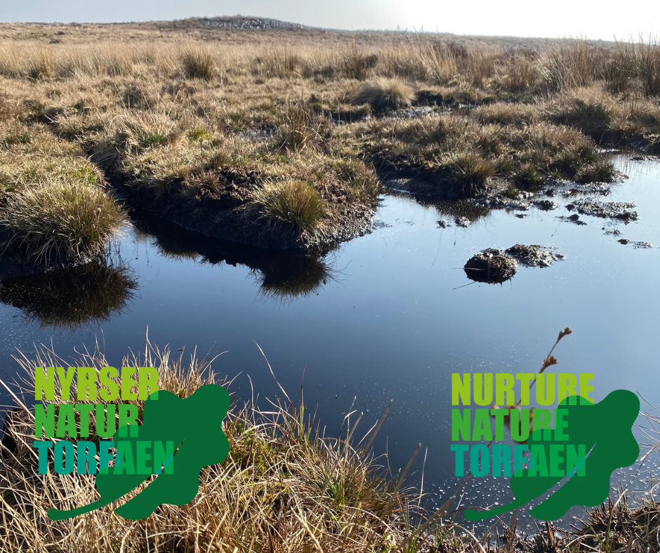 nurture nature torfaen