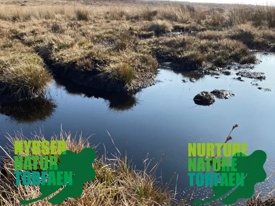 nurture nature torfaen