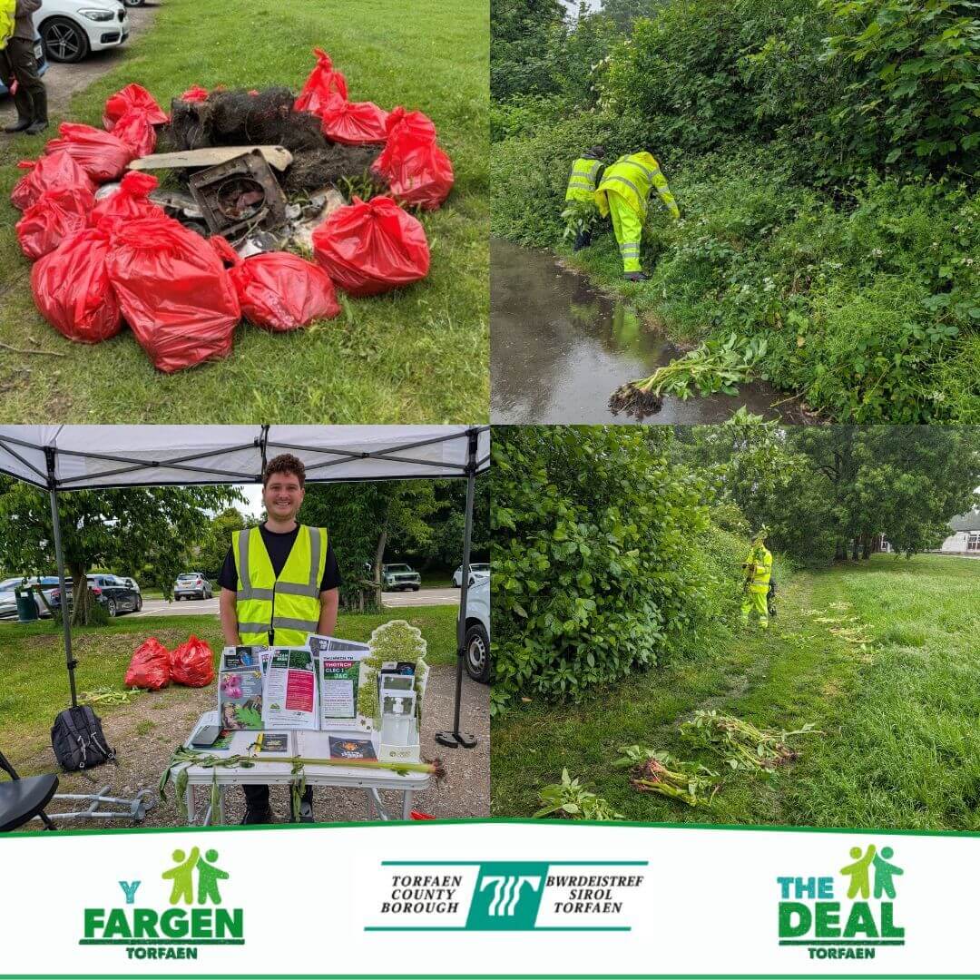 Volunteers collecting litter and removing Himalayan balsam plants during Make a Difference Week
