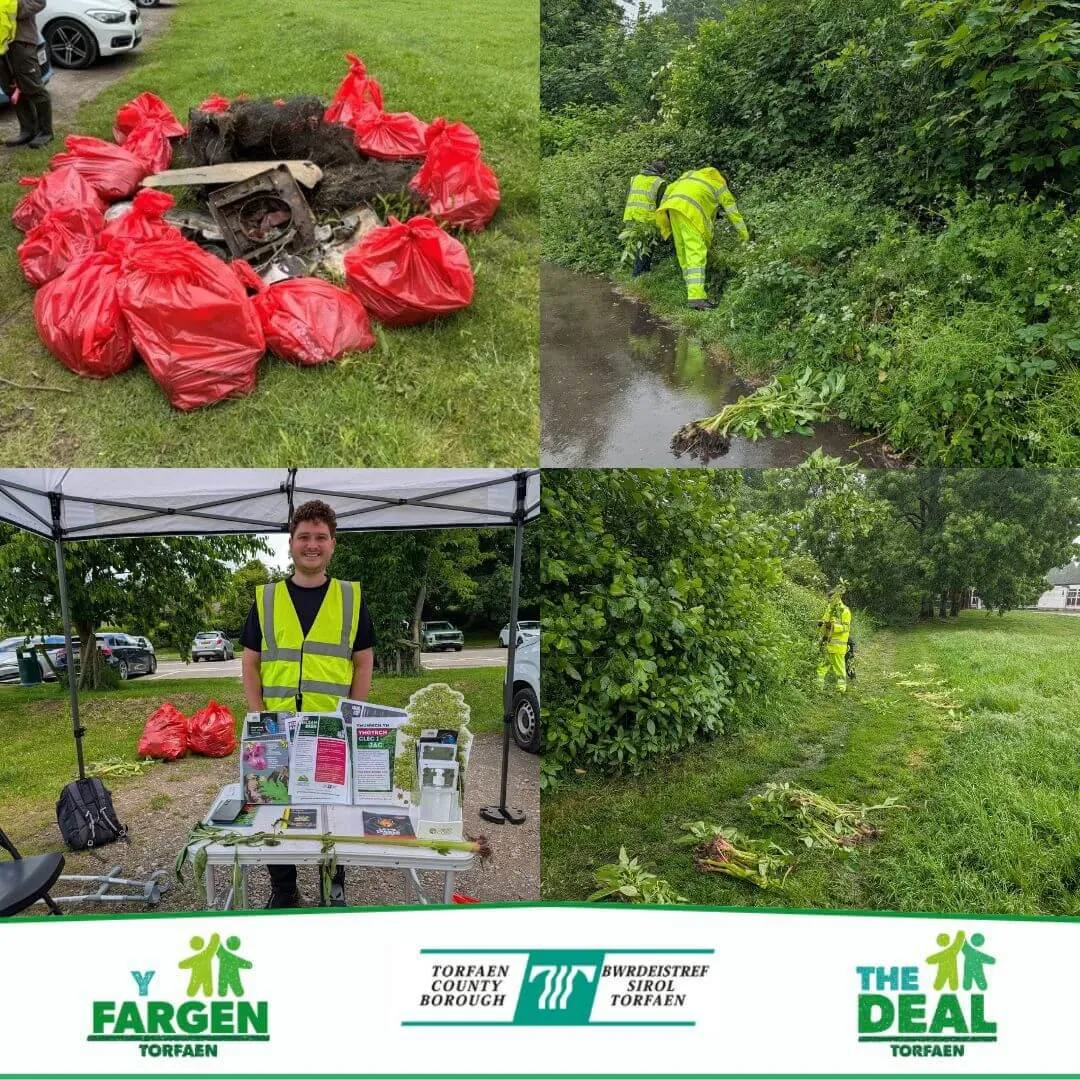 Volunteers collecting litter and removing Himalayan balsam plants during Make a Difference Week