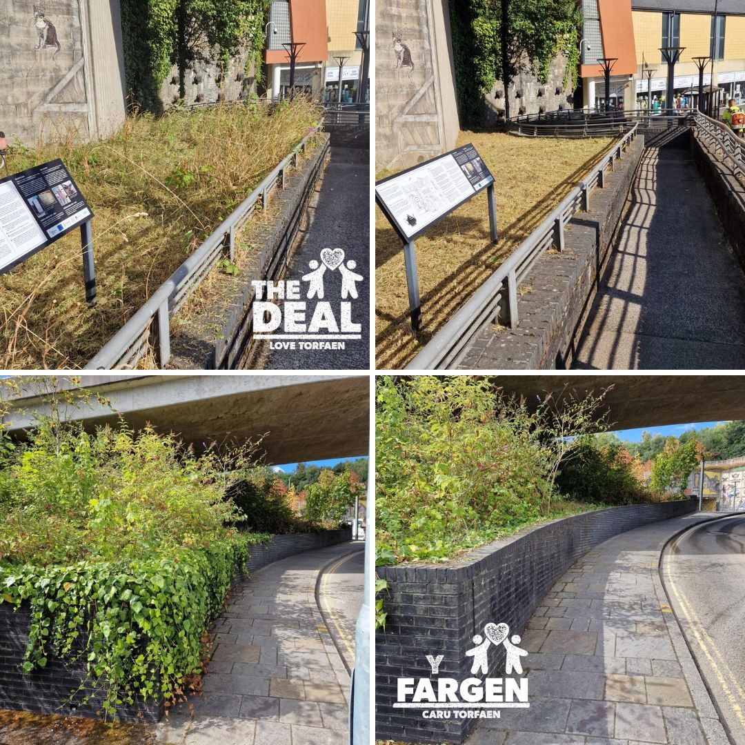 Before and after images showing overgrown vegetation cleared from public walkways and planted areas in Pontypool.