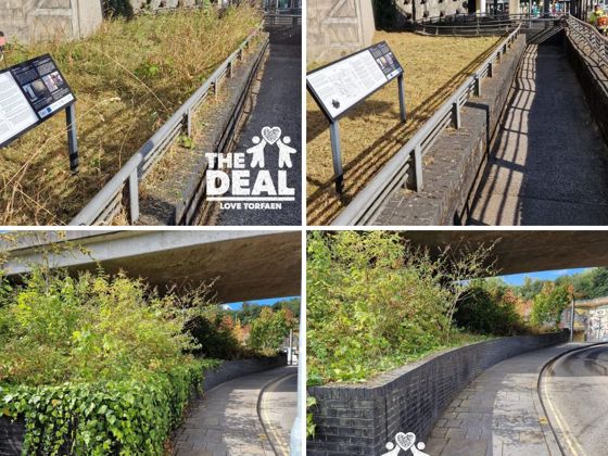 Before and after images showing overgrown vegetation cleared from public walkways and planted areas in Pontypool.